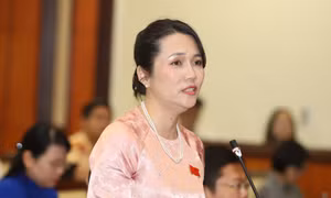 Đại biểu HĐND TPHCM: Người dân dễ tiếp cận nhà ở xã hội từ... 'cò' đất