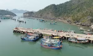 Hải Phòng: Khởi tố phó giám đốc doanh nghiệp cưỡng đoạt tài sản của đối tác