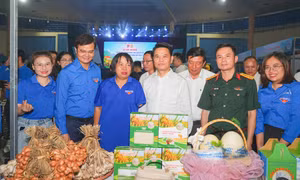Tuổi trẻ Hải Phòng ra quân tình nguyện hè 2026