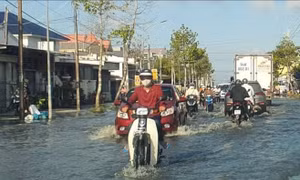 Triều cường lên cao, Quốc lộ 1 qua Cà Mau ngập sâu vào sáng sớm