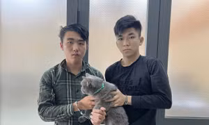 TPHCM bắt 30 đối tượng trộm cắp 