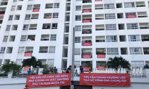 Tranh chấp chung cư không thể giải quyết bằng các quy định 'chắp vá'