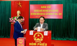 Cử tri ở Hải Phòng nô nức đi bầu cử 
