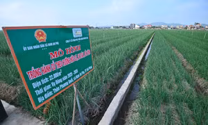 Đề xuất quảng bá, tiêu thụ nông sản qua ứng dụng AI 
