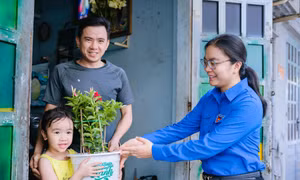 Tuổi trẻ TPHCM lan tỏa hành động đẹp Ngày Chủ nhật xanh