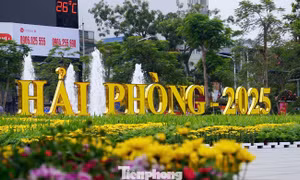 Hải Phòng nghiên cứu quy định sử dụng quỹ tín chỉ cac-bon