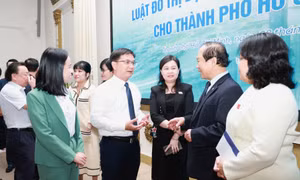 Đề xuất phân quyền toàn diện, triệt để, thực chất cho TPHCM