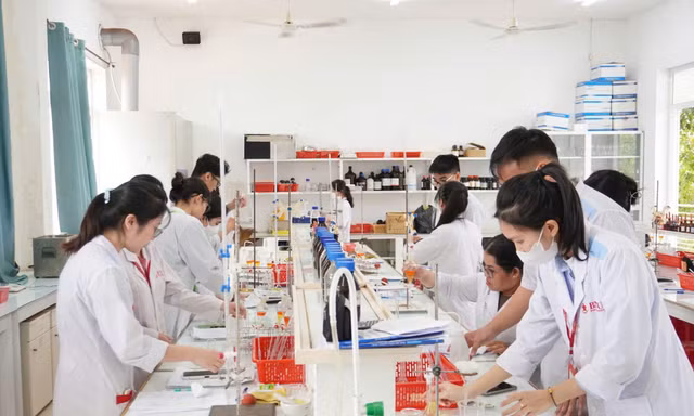 Đắk Lắk: Giáo sư được hỗ trợ 2 tỷ, thạc sĩ 700 triệu đồng