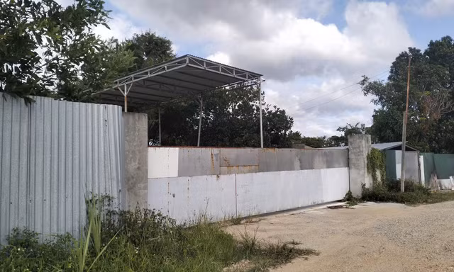 Trại heo chưa khắc phục xong vi phạm đã thả 800 con, Chủ tịch tỉnh chỉ đạo thanh tra toàn diện