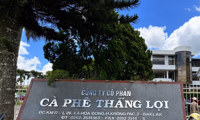 Thu hồi hơn 525ha đất liên kết trồng cà phê ở Đắk Lắk