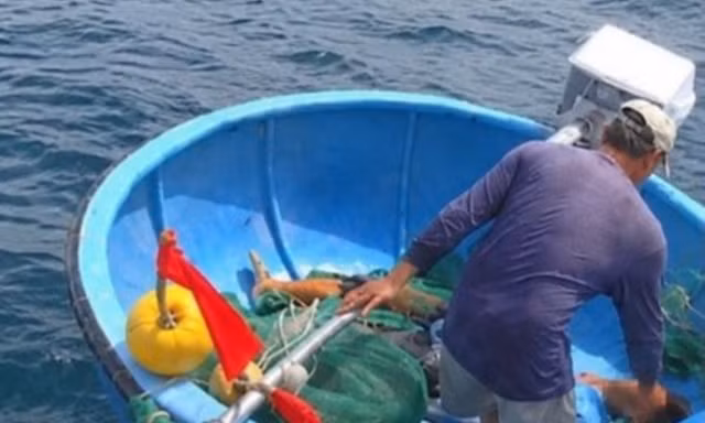 Ra biển đánh cá, người đàn ông tử vong trên chiếc thúng trôi dạt