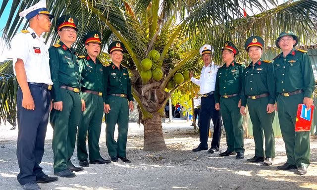Dừa cho quả ngọt giữa nắng gió Trường Sa