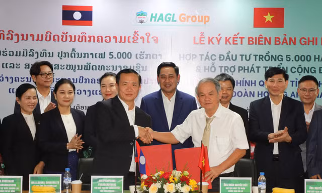 Tập đoàn Hoàng Anh Gia Lai sẽ trồng 5.000 ha cà phê tại Lào