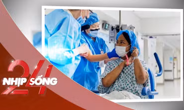 NHỊP SỐNG 24: Người đầu tiên trên thế giới sống 4 tháng với thận lợn