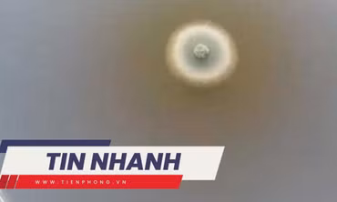TIN NHANH: Lộ manh mối vụ thực phẩm chức năng của Nhật liên quan 5 người tử vong