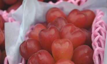 Thị trường 29/10: Hàu sữa giá rẻ chưa từng có, nho trái tim hơn 2 triệu đồng/kg