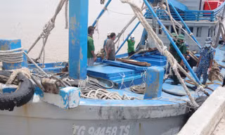 Tàu chở khoảng 40.000 lít dầu DO không rõ nguồn gốc