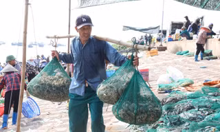 Tấp nập mua bán ở chợ cá Nam Định lúc sáng sớm