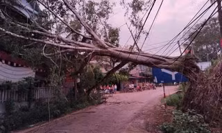 Mưa dông lốc xoáy ở Yên Bái, một người bị cây gãy đổ đè trúng