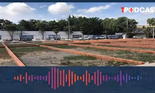 Quy định mới về tách thửa, hợp thửa đất theo Luật mới