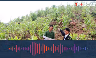Lý do chỉ có 1 trường hợp hộ gia đình được giao đất ở theo Luật mới?