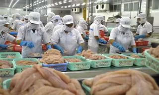 Xuất khẩu thủy sản cán đích 10 tỷ USD, nhưng... 