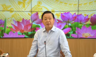 Phó Thủ tướng ‘sốt ruột’ việc giá lúa gạo giảm mạnh 