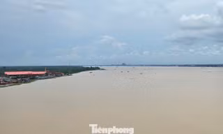 Xâm nhập mặn đe dọa ĐBSCL ra sao?
