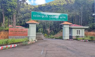 Công bố quyết định thanh tra việc chấp hành pháp luật về đầu tư công tại Kiên Giang