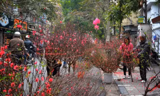Doanh nghiệp cho người lao động nghỉ Tết Nguyên đán Ất Tỵ 2025 tới 11 ngày. Ảnh minh họa, ST. 