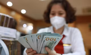 Giá USD tiếp tục lập đỉnh, giá vàng chững lại 