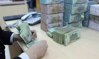 COVID-19 khiến tín dụng tăng 1,96%, vốn ngân hàng dồi dào cho DN vay. ảnh minh hoạ 