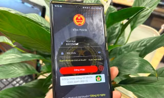 3 điều kiện để được hoàn thuế thu nhập cá nhân tự động ai cũng cần biết