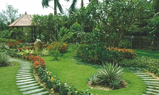 Cho quê hương thêm xanh