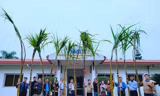 Độc đáo cuộc thi 'hoa hậu' mía 