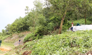 Khu vực núi Y Sơn bị sụt lún.