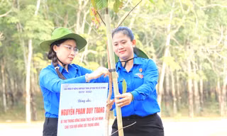 Trồng mới 1 triệu cây xanh 'Vì một Bình Dương xanh'
