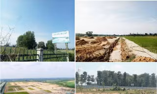 'Màn ảo thuật' biến 188ha đất công thành đất tư khiến loạt lãnh đạo Bình Dương bị xử lý 