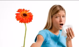 Biện pháp phòng tránh dị ứng phấn hoa