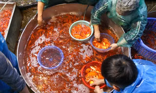 Chợ cá Yên Sở rực sắc đỏ, nhộn nhịp trước ngày cúng ông Công - ông Táo
