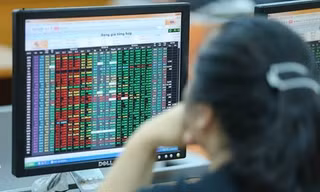VN-Index thủng mốc 1.250 điểm, cổ phiếu 'trà đá' đua nhau tăng trần
