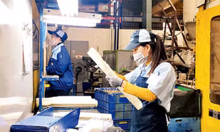 Tin vui: Doanh nghiệp 'khai sinh' nhiều hơn 'khai tử'