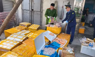 Thấy gì ở kho nội tạng lợn, trứng gà non chuyên cung cấp cho nhà hàng, quán ăn vỉa hè?