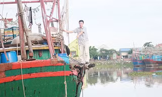 Tàu cá bị tàu mang số hiệu của Trung Quốc đâm thủng bên mạn trái và đuôi tàu đang neo chờ sửa chữa - Ảnh: Tiến Thắng