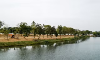 Một góc cồn Dã Viên.