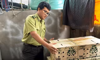 Vì sao Huế từ chối cấp phép hội thi chim chào mào?