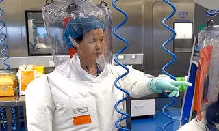 Nữ ‘người dơi’ Trung Quốc cảnh báo về dịch bệnh khác do virus