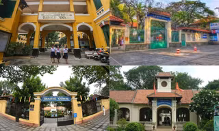 Vụ cây đổ khiến học sinh tử vong: Nguy cơ tiềm ẩn từ cây tuổi đời lâu năm tại các trường