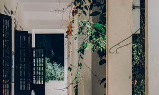 Cuộc thi viết Trà sữa cho tâm hồn: Ngày cậu đi, tớ chưa kịp nói rằng “Tớ thích cậu“