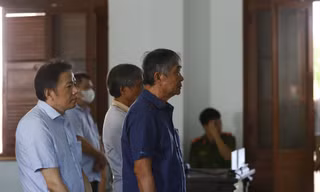 Vụ bán đấu giá 262 lô đất ở Phú Yên: Cựu Phó chủ tịch tỉnh Phú Yên được giảm án 